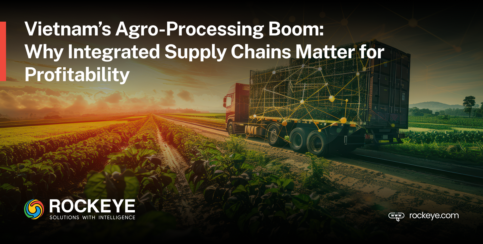 Agro-Processing Manufacturing in Vietnam: Supply Chain Integration for Profit